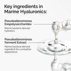 Ingredients of The Ordinary Marine Hyaluronics
